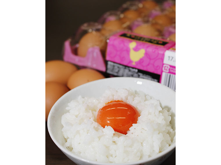 Koitamago(こいたまご)