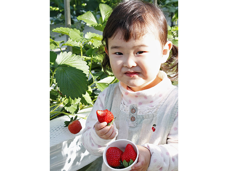 【福島市荒井】四季の里　いちご園