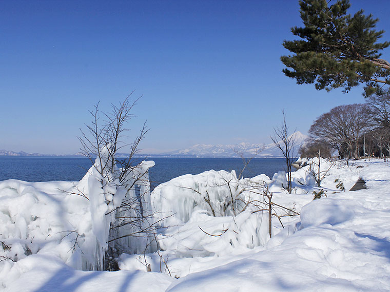 湖岸の木に着氷する「しぶき氷」