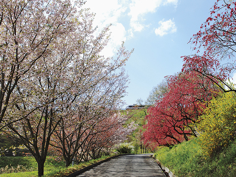 4月下旬には濃いハナモモとピンクの八重桜が咲き、萌え始めた新緑を鮮やかに彩る中を初夏の風が心地良く吹き抜ける