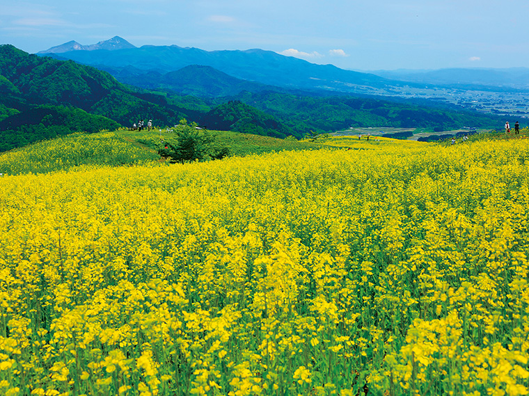 春の風景写真を撮ったら モンモフォトコンテスト へ 日刊シティ情報ふくしまweb グルメ イベント おでかけ 福島の街ネタをご紹介