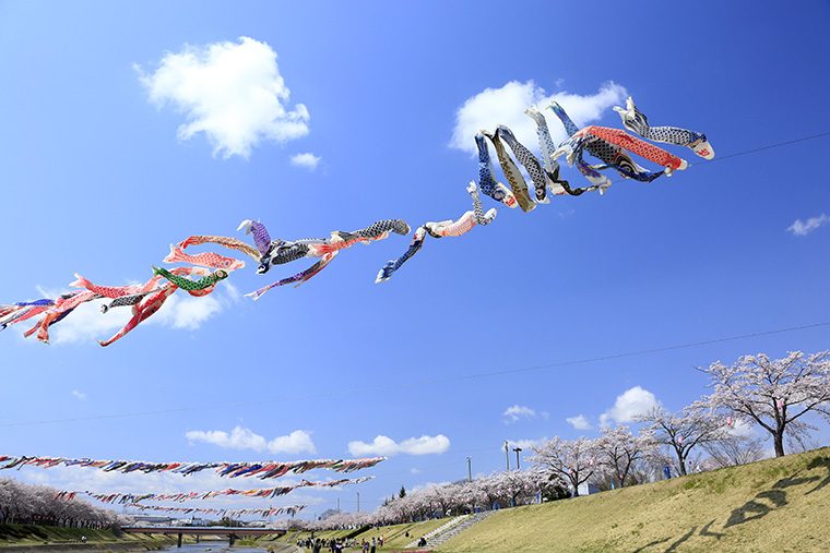 (進和クリエイティブセンター フォトライブラリーより)