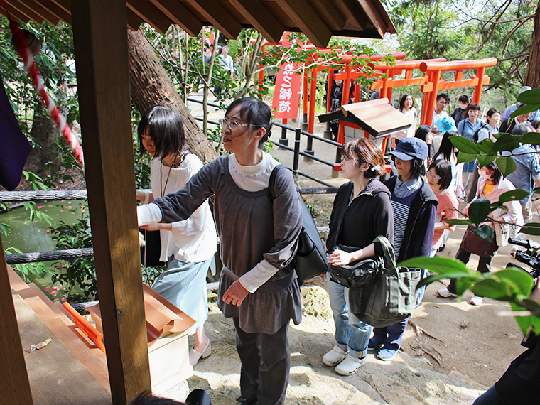 ネットでも話題になっている「ねこの幸せ祈願祭」