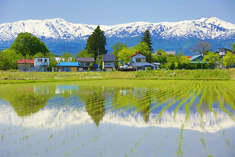 （進和クリエイティブセンター　フォトライブラリーより）