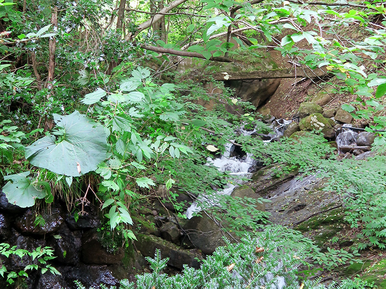 露天風呂のすぐそばを流れる、小さな川