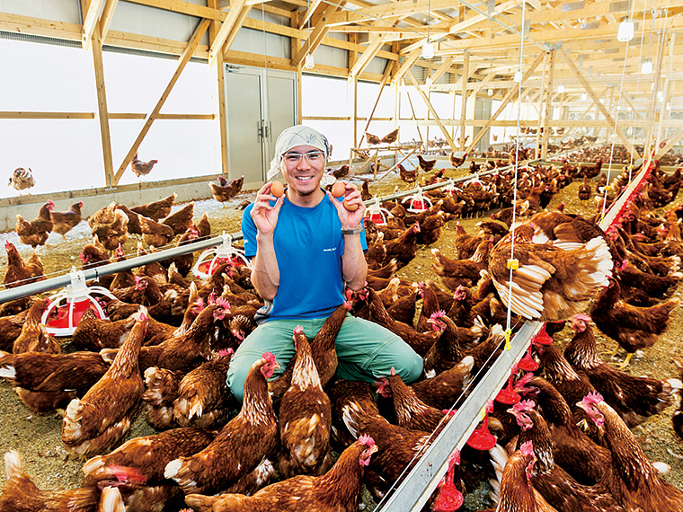 「ここたま」を生産する養鶏場。衛生管理が行き届き恵まれた環境で育つ鶏。養鶏の専門家・長倉さんが一羽一羽の体調を徹底管理。安心・安全な卵を生産している