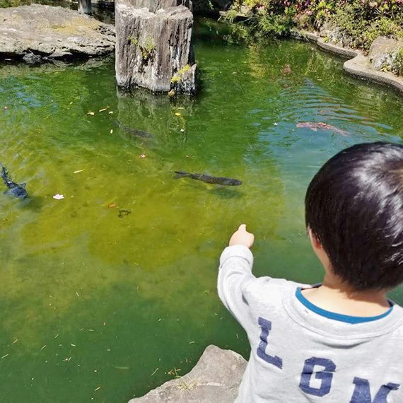 池の鯉を眺めるのだって、子どもにとってはレジャー