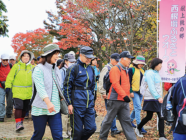 自然と触れ合いながら、健康になろう!