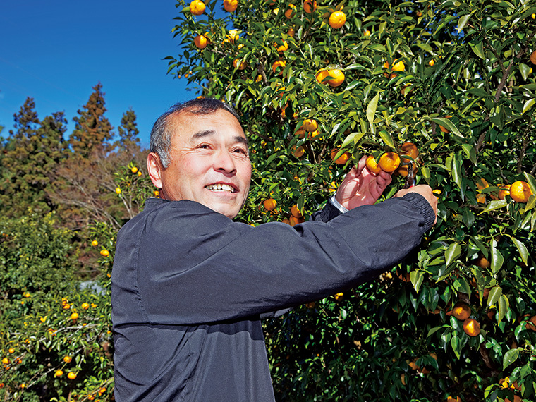 番組では矢祭町特産のユズを紹介!写真は「ゆず生産組合」の組合長・緑川さん