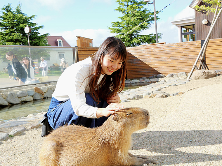 動物たちとふれ合おう