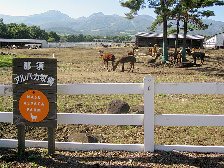 牧場は、名山・茶臼岳の麓