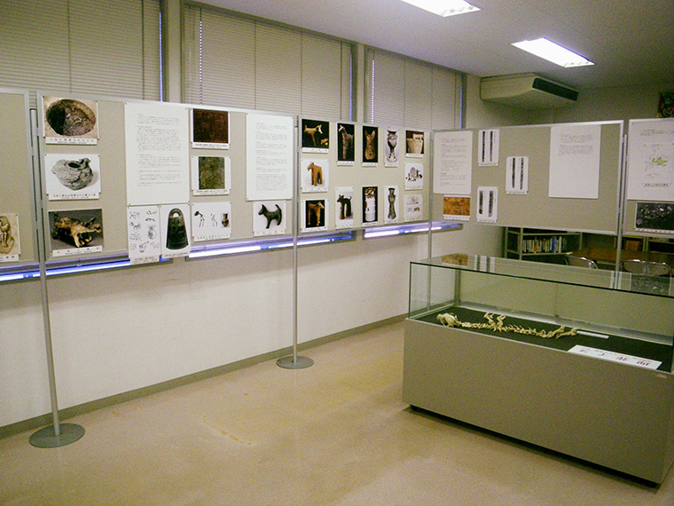 前回のミニ企画展「干支―いぬ―」の様子