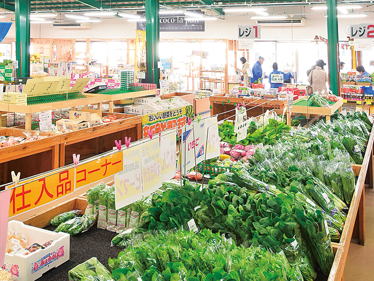 毎日新鮮な野菜が並ぶ農産物直売所「ここら矢野目店」