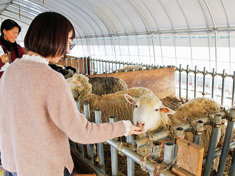 どの動物とも距離が近いので、じっくり観察してみて