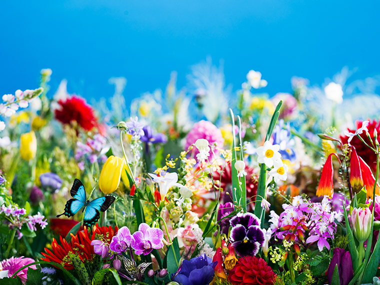 earthly flowers, heavenly colors (2017)(c)mika ninagawa, Courtesy of Tomio Koyama Gallery