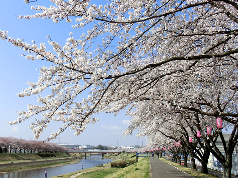 釈迦堂川ふれあいロード