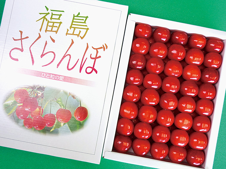 最高品質の2Lサイズ以上のものを鏡詰めしたサクランボ（化粧箱500g・8,300円）は贈答用として喜ばれている