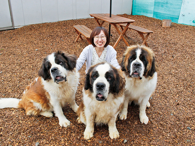 おでかけ報告記 栃木県那須町 那須でセントバーナードと遊ぼう テラリウム作りができるスポットも紹介 日刊シティ情報ふくしまweb グルメ イベント おでかけ 福島の街ネタをご紹介