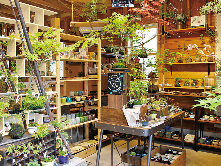 店内には、観葉植物がずらり!