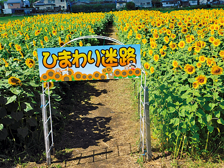 ゲートをくぐってスタート!