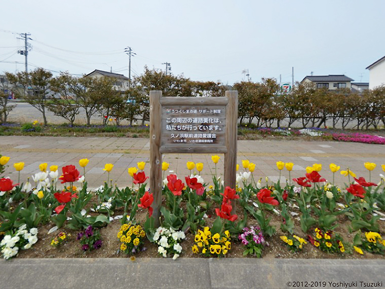 (2012.4.30 福島県いわき市久之浜)
