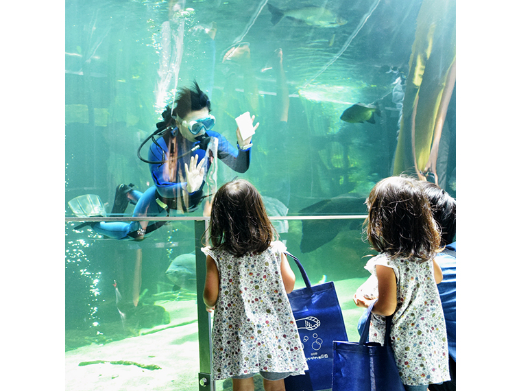 Fitエリア なかがわ水遊園 海なし県 栃木の水族館 海にはない川の魅力を知ろう 日刊シティ情報ふくしまweb グルメ イベント おでかけ 福島の街ネタをご紹介 Fitエリア なかがわ水遊園 海なし県 栃木の水族館 海にはない川の魅力を知ろう 日刊シティ情報ふくしまweb グルメ イベント おでかけ 福島の街ネタをご紹介