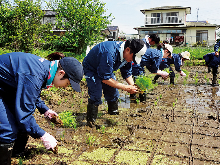 二本松産の米「五百万石」を100％使用。二本松市内の田で行った田植えの様子