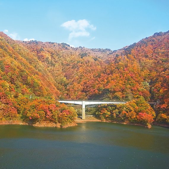 ボートツーリングの乗り場から車で約5分。『長井ダム管理支所』の北側は、ダムに向かって叫ぶといろいろな方向から声が返ってくる「ヤッホーポイント」!紅葉の絶景に囲まれて、大きな声で叫んでみよう