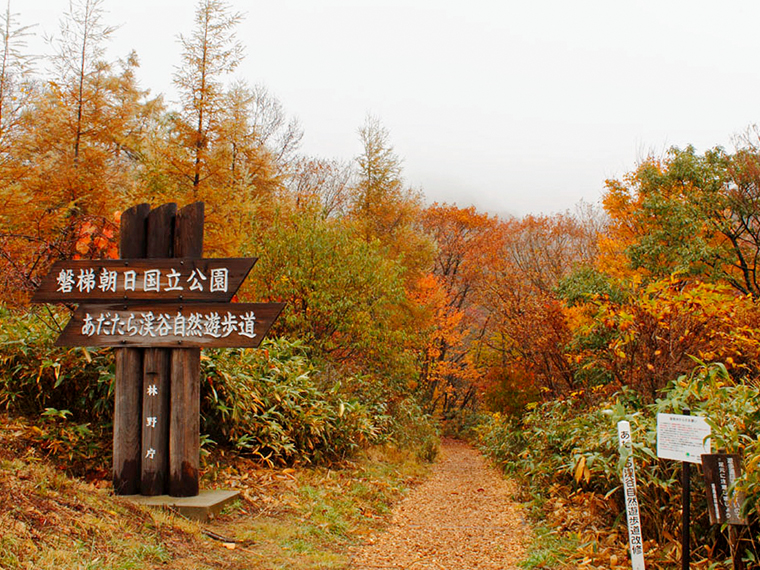 遊歩道の入り口