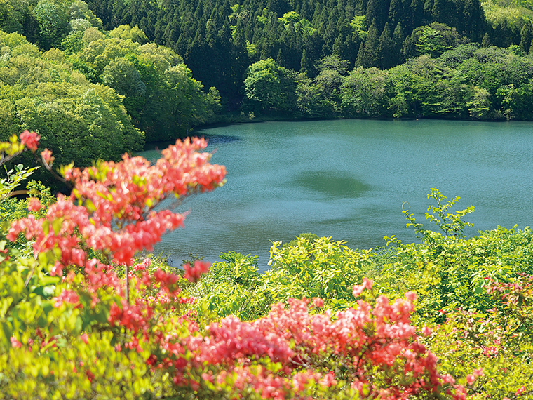 ５月には土湯温泉町の「つつじ山公園」が見頃を迎える