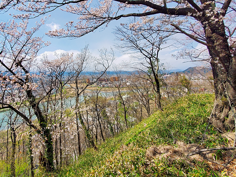 木が多すぎて眺めは残念な弁天山の展望台付近。ここでロケしなかったのは、この木のせいかも。眼下を流れているのは阿武隈川。木がなければ、劇中で裕一少年が佇んでいた場所に似てる（かな？）