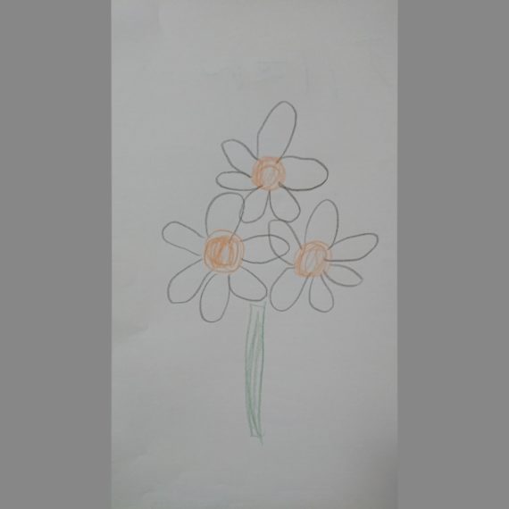 春らんまん 福島の花イラストコンテスト 結果発表 応募作品紹介 日刊cj Monmo Web グルメ イベント おでかけ 福島県の街ネタをご紹介