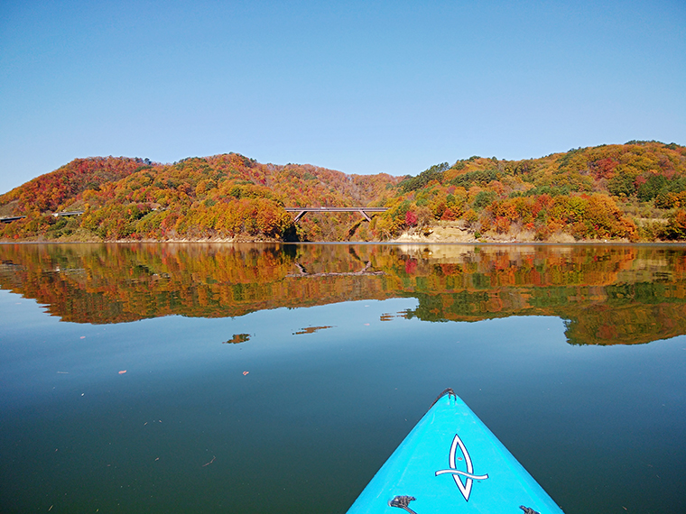 水上から観る紅葉は格別!