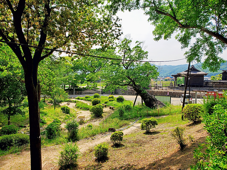 円形の池やケヤキの大樹が、城跡の風情を感じさせる紅葉山公園。右奥に見える建物は板倉神社