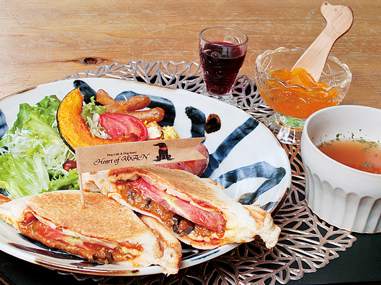 「日替わりランチ」(1,100円)※提供は11:00〜14:00ラストオーダー ※内容は日替わり。写真は「焼きチーズカレーホットサンド」