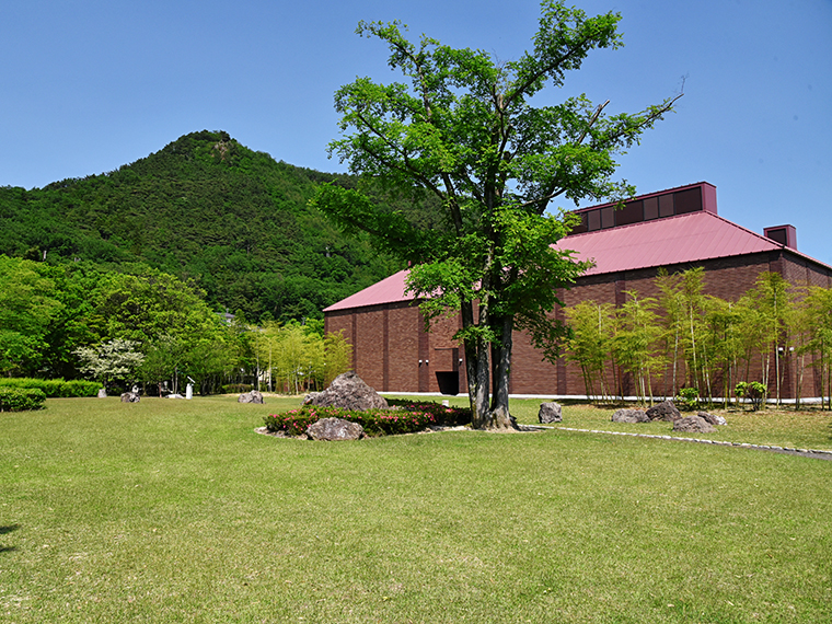 美術館内の展示にも足を運んでみて