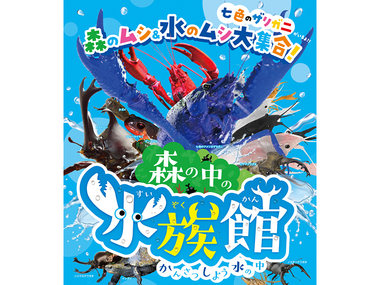 企画は、放送作家・鈴木おさむがプロデュース。水の中の生き物を観察しよう