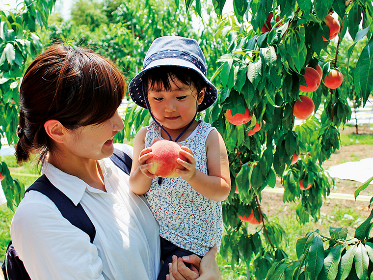 くだもの狩り入園料の割引あり（下記HPで確認を）。もぎたてのおいしさと楽しさを子どもたちに味あわせてあげたい