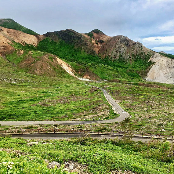 浄土平湿原の高山植物も必見