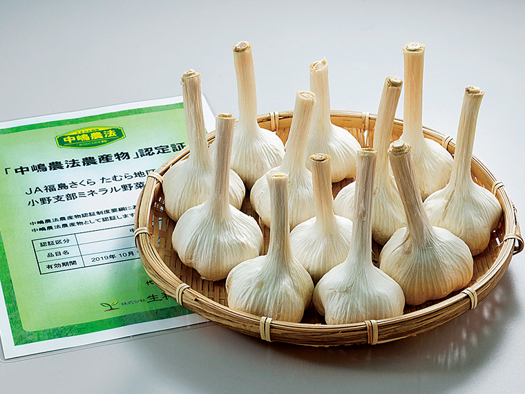 中嶋農法によって、愛情と手間をかけながら大きく育ったニンニクは糖度が40度以上もある