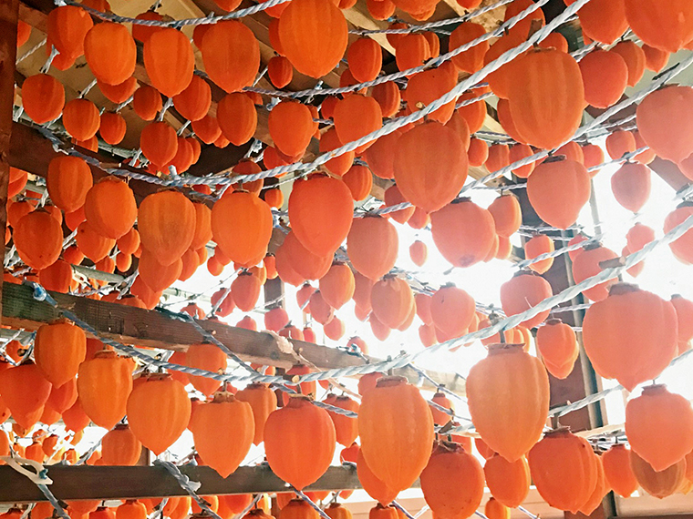 おいしい福島県の冬の味覚を写真に撮って応募しよう