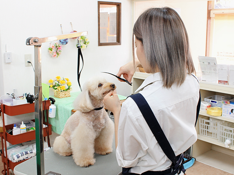 優しい対応のトリミングにワンちゃんもウットリ…