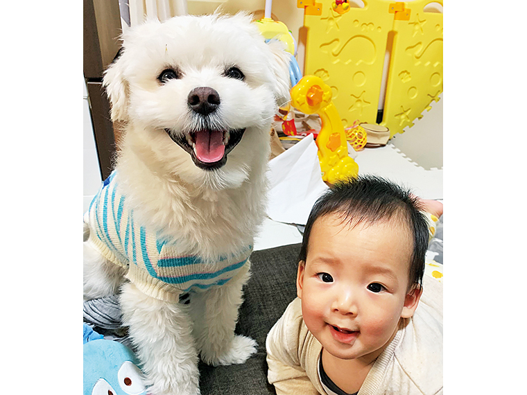 左がグランプリに輝いた、衣(ころも)くん(1歳10ヵ月・オス)。飼い主・成尾さんご一家の長男・敬世くんと一緒に