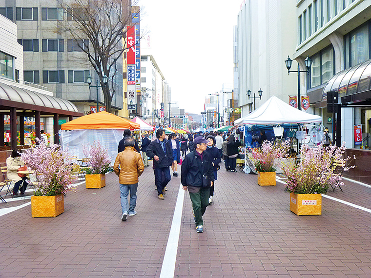 来場者先着100名に花見山の切り花をプレゼント!新型コロナウイルス感染症対策をしつつ、楽しもう