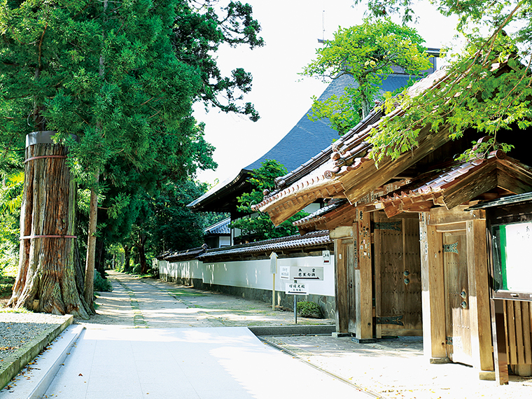 山門より薬師堂へ続く長い参道杉並木。夏に向けてシャガやアジサイ、ハスの花が境内を彩る