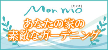 協会けんぽ 社員の健康づくりを応援 社会福祉法人 郡山福祉会 の取り組みを紹介 日刊cj Monmo Web グルメ イベント おでかけ 福島県の街ネタをご紹介