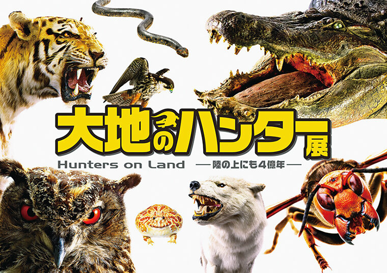 好奇心をくすぐる展示の数々をお見逃しなく