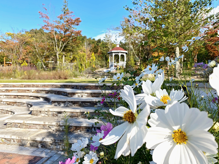 プリンス・ウィリアムズ・パーク 英国庭園