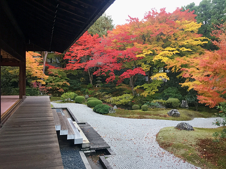 キャッシュバックキャンペーンを利用して京都へ行こう。歴代皇族の御陵がある「泉涌寺」