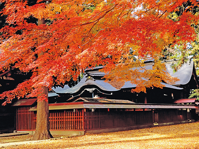 燃えるような紅葉と色鮮やかなイチョウの絨毯に目を奪われる八槻都々古別神社の境内
